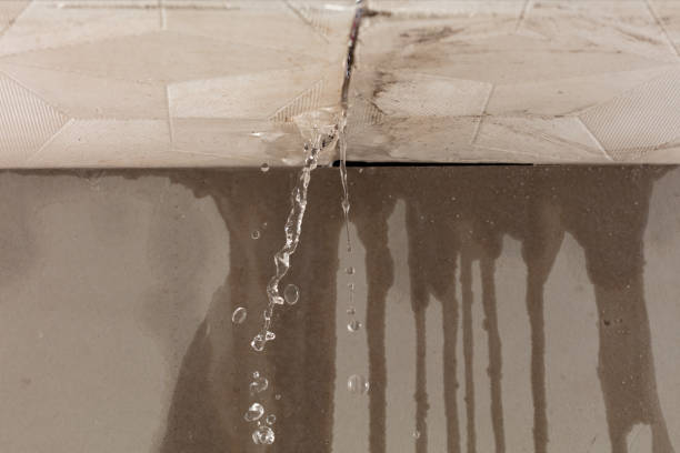 Professional Flood Damage Cleanup technician working in Bridgeport, IL